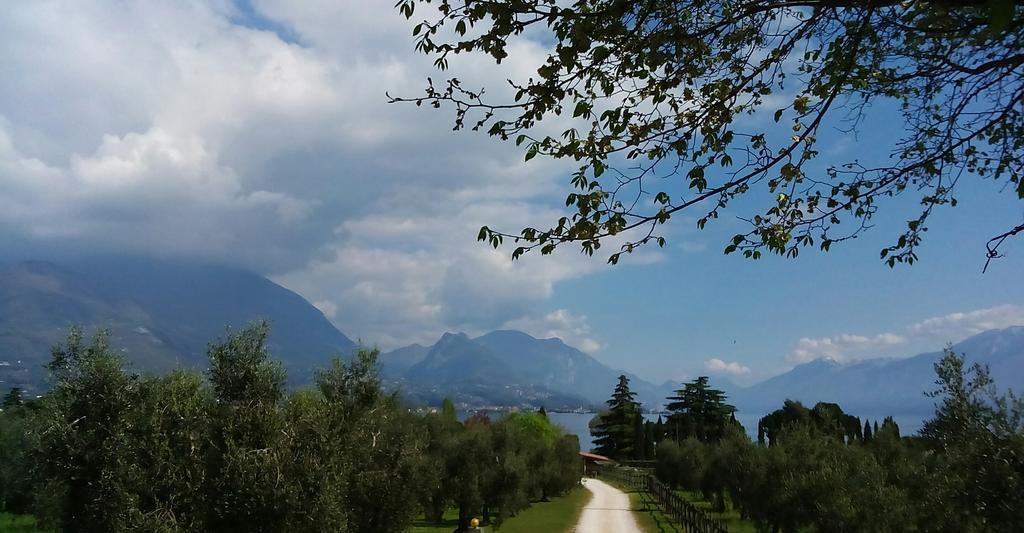 Appartamento Agata San Felice del Benaco Εξωτερικό φωτογραφία